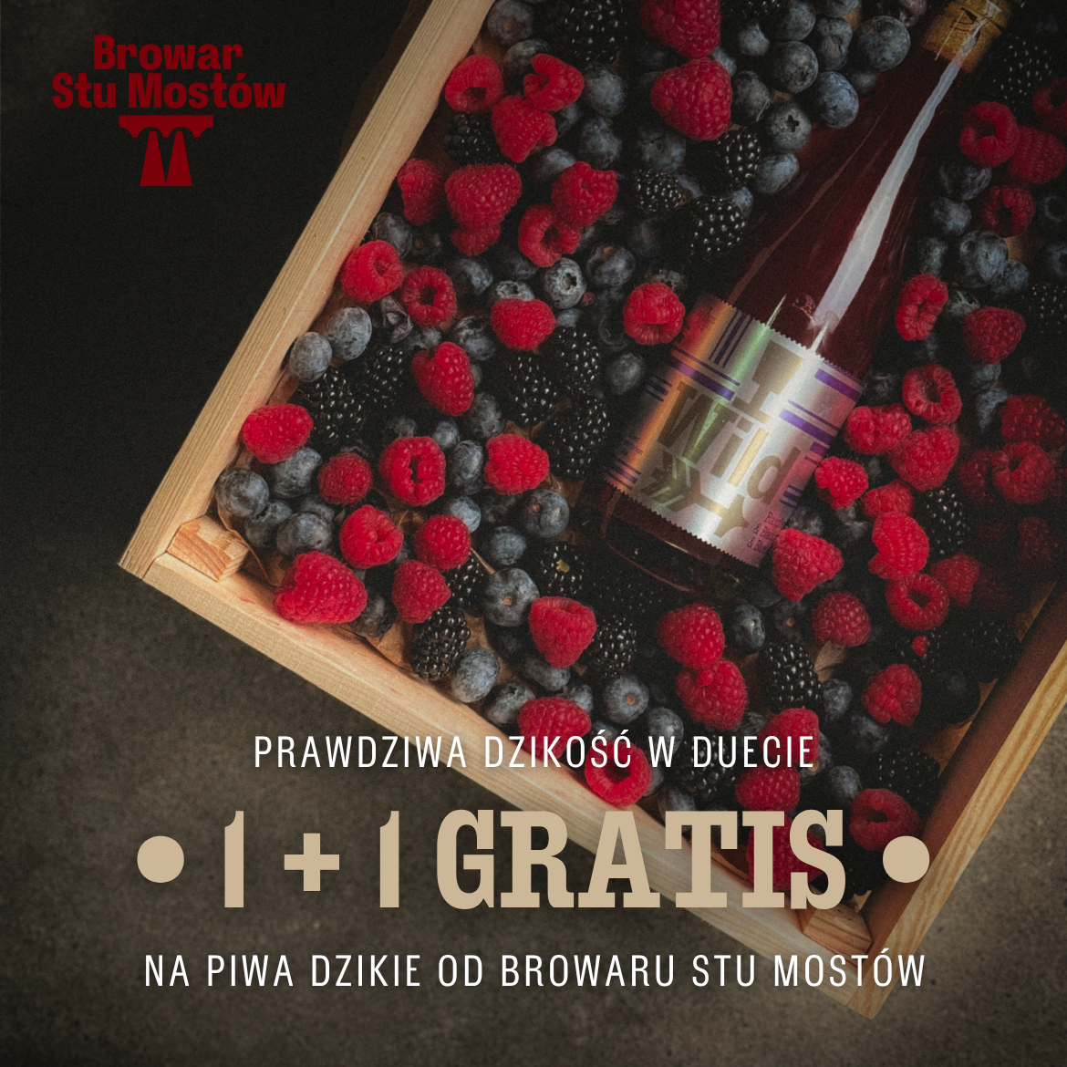 1+1 PIWA DZIKIE BSM PL