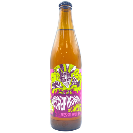 Browar Harpagan: Mechapingwin Ocalenia - 500 ml bottle