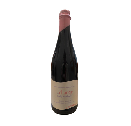 everywhere: is change really possible? - butelka 500 ml