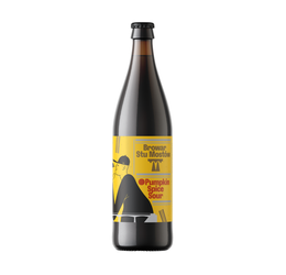 Browar Stu Mostów: Pumpkin Spice Sour - 500 ml bottle