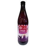 Raduga x Browar Gryfus: Kingdom of Fruits - 500 ml bottle