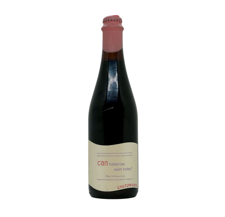 everywhere: can tomorrow exist today? - butelka 500 ml