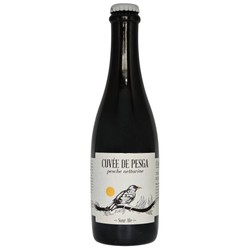 Ca Del Brado: Cuvee de Pesga - 375 ml bottle