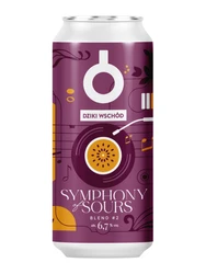 Dziki Wschód: Symphony of Sours #2 - 500 ml can