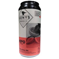 Genys Brewing Co. Genys Brewing x Nepomucen: Orange Strawberry Pastry Sour - puszka 440 ml