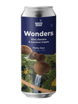 Magic Road: Wonders Kiwi & Banana & Coconut Cream - 500 ml can
