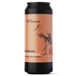 Browar Stu Mostów: Last Minute - 440 ml can