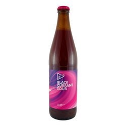 Funky Fluid: Black Currant Sour Ale - butelka 500 ml