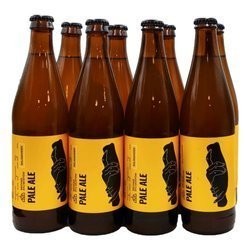 Piwna skrzynia: Browar Stu Mostów Salamander Pale Ale