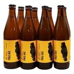 Piwna skrzynia: Browar Stu Mostów Salamander Pale Ale