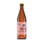 Browar Stu Mostów: Galactic Voyager - 500 ml bottle