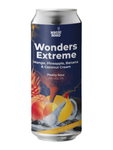 Magic Road: Wonders Extreme Mango & Pineapple & Banana & Coconut Milk - 500 ml can