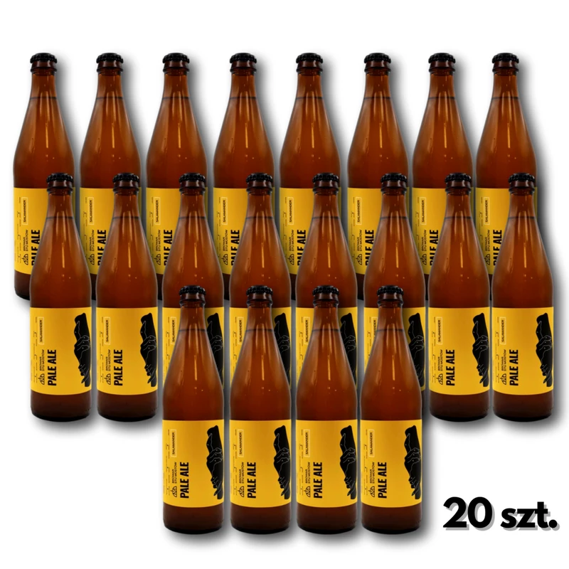 Browar Stu Mostów Pale Ale 20 Pack Beer Sets and Kegs \ Beer