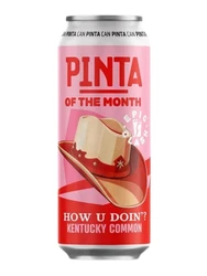 PINTA: How u Doin'? - puszka 500 ml