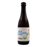 Browar Stu Mostów: WILD #10 Mixed Fermentation Saison Elderflower, Lemon Verbena & Acacia Honey - butelka 375 ml