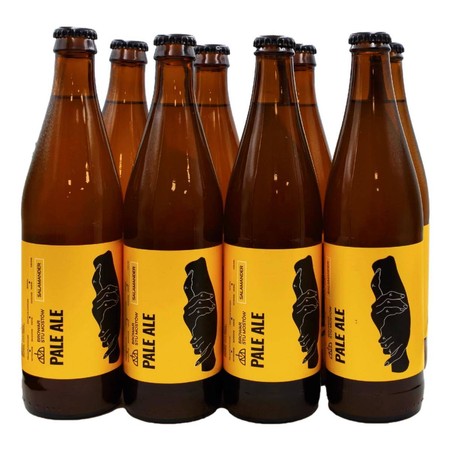 Piwna skrzynia: Browar Stu Mostów Salamander Pale Ale
